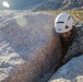 U.S. Marines with 2/4 complete Assault Climber's Course