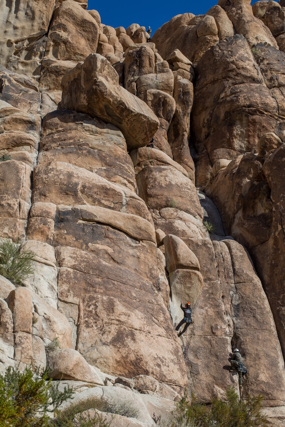 U.S. Marines with 2/4 complete Assault Climber's Course