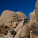 U.S. Marines with 2/4 complete Assault Climber's Course