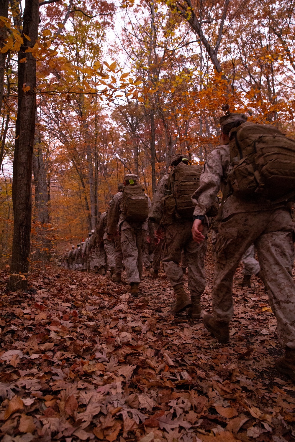 HEADQUARTERS AND SERVICE BATTALION HIKE