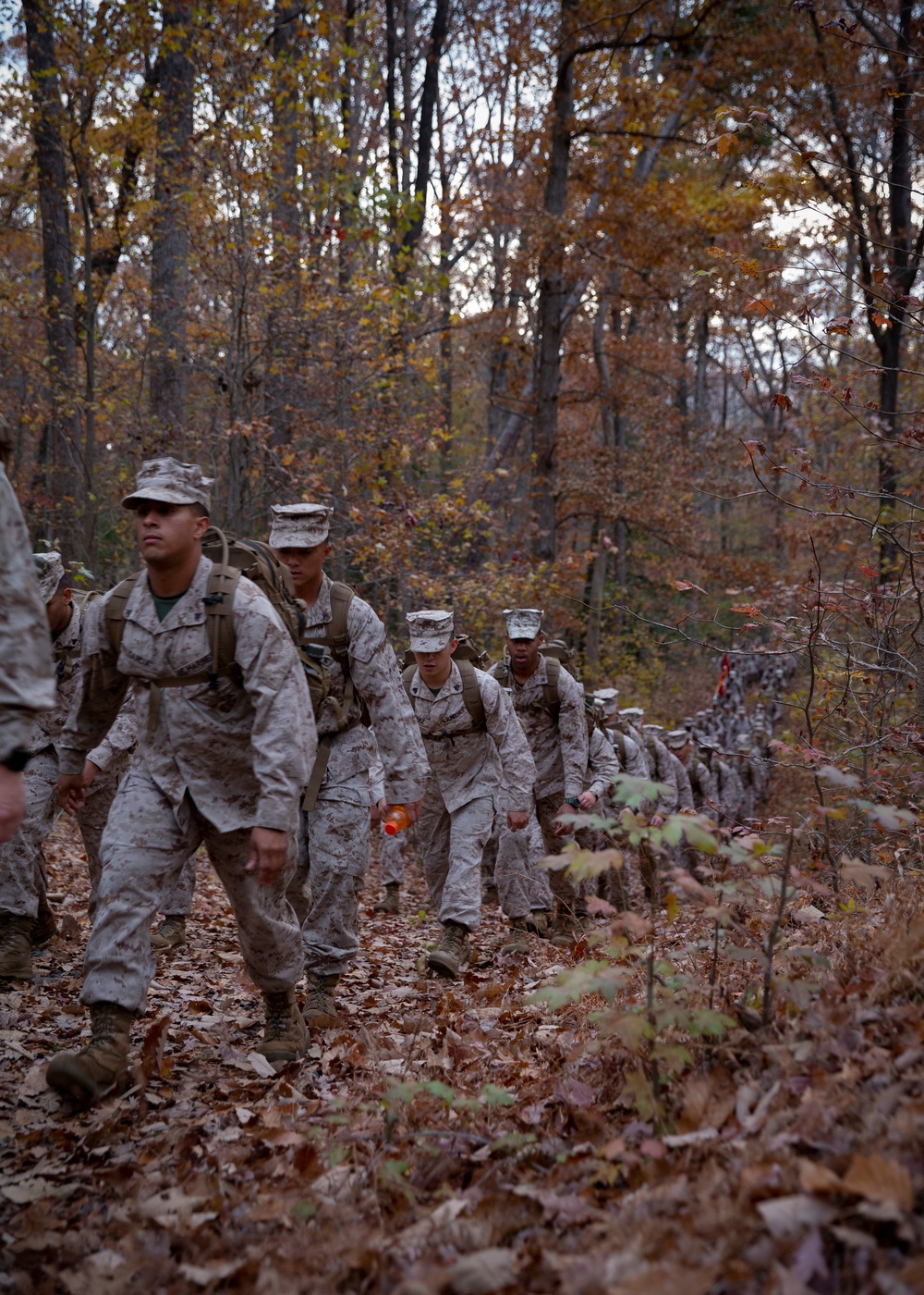 HEADQUARTERS AND SERVICE BATTALION HIKE