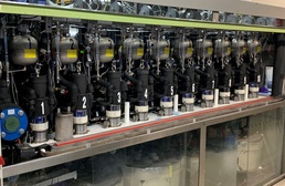 CBART: When Skin Is in the Game