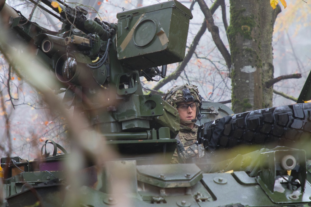 Soldier observes the terrain from his Stryker