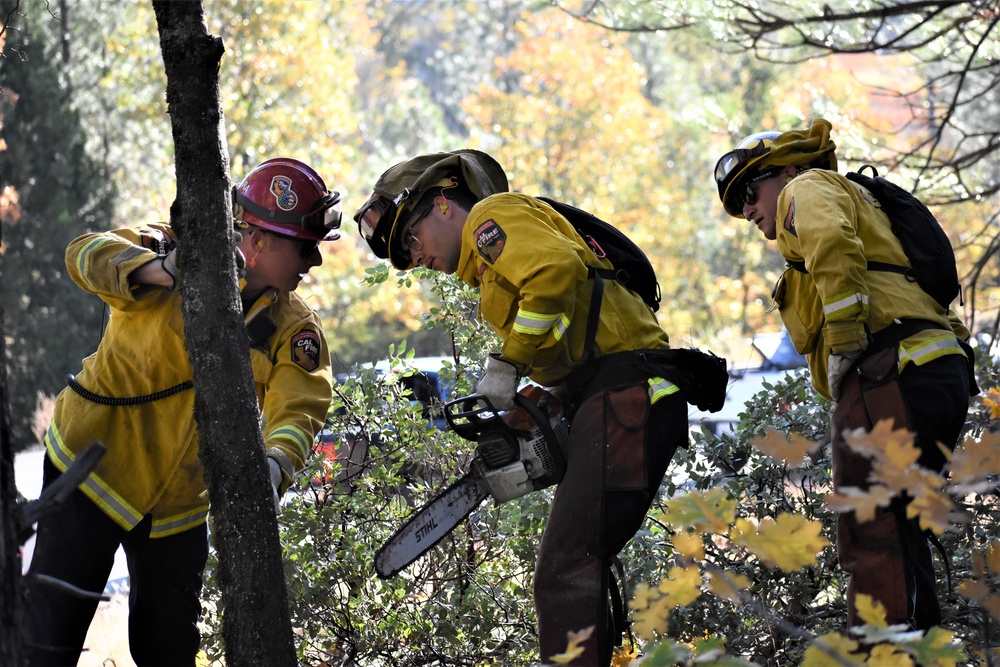 JTF Rattlesnake’s Redding crews clear potential fire fuels in Project Area Hwy 44