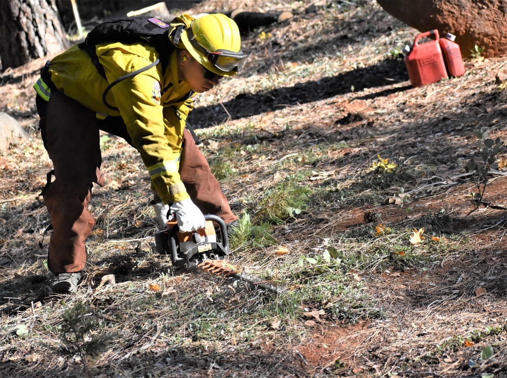 JTF Rattlesnake’s Redding hand crews clear potential fire fuels in Project Area Hwy 44