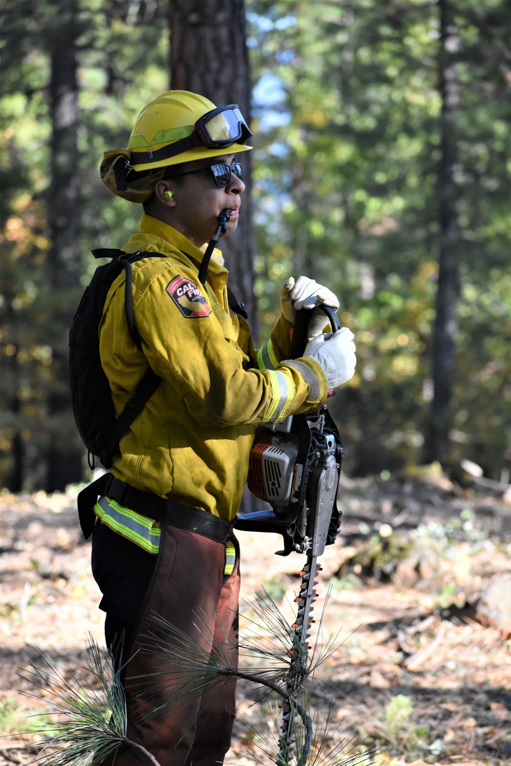 JTF Rattlesnake’s Redding hand crews clear potential fire fuels in Project Area Hwy 44