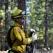 JTF Rattlesnake’s Redding hand crews clear potential fire fuels in Project Area Hwy 44