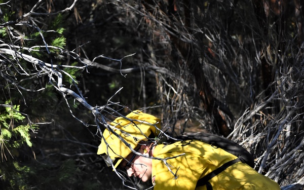 JTF Rattlesnake’s Redding hand crews clear potential fire fuels in Project Area Hwy 44