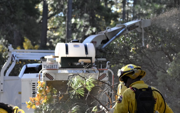 JTF Rattlesnake’s Redding hand crews clear potential fire fuels in Project Area Hwy 44