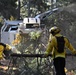 JTF Rattlesnake’s Redding hand crews clear potential fire fuels in Project Area Hwy 44