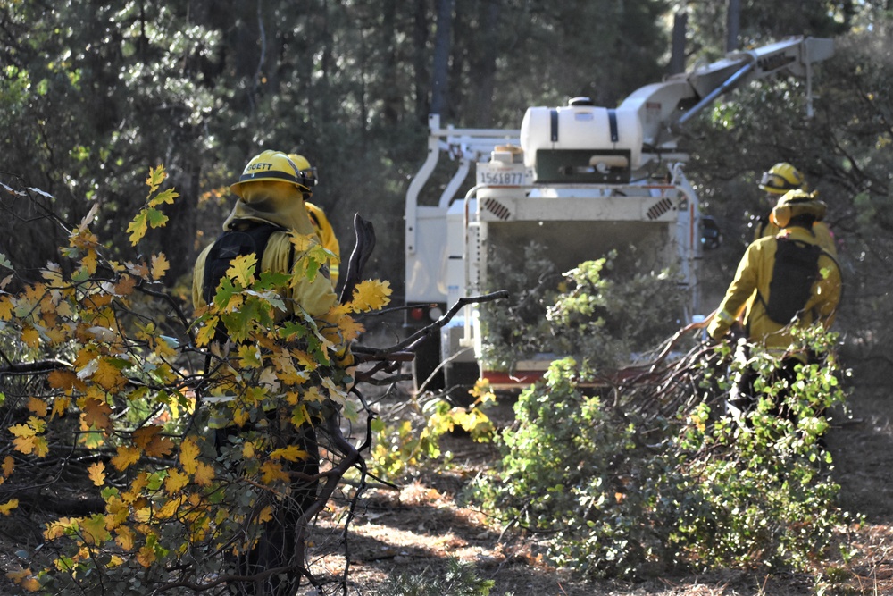 JTF Rattlesnake’s Redding hand crews clear potential fire fuels in Project Area Hwy 44