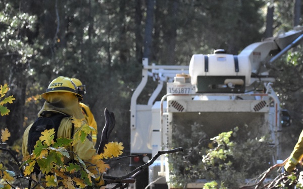 JTF Rattlesnake’s Redding hand crews clear potential fire fuels in Project Area Hwy 44