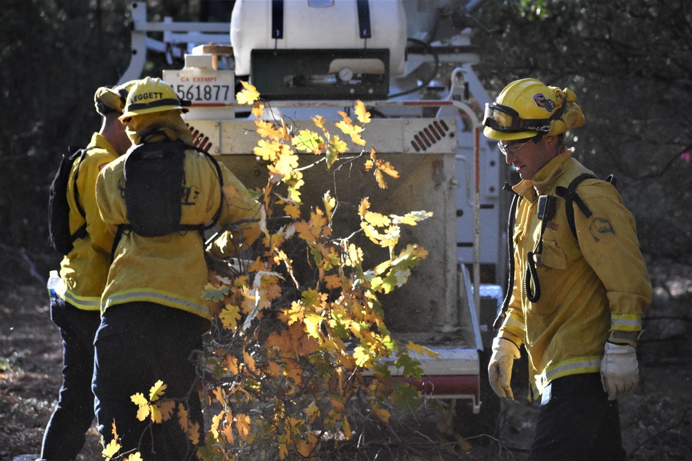 JTF Rattlesnake’s Redding hand crews clear potential fire fuels in Project Area Hwy 44