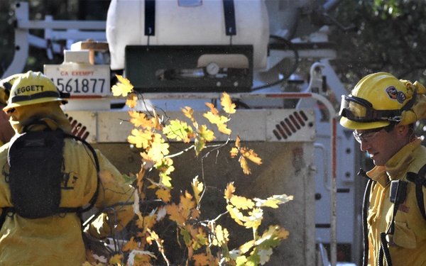 JTF Rattlesnake’s Redding hand crews clear potential fire fuels in Project Area Hwy 44