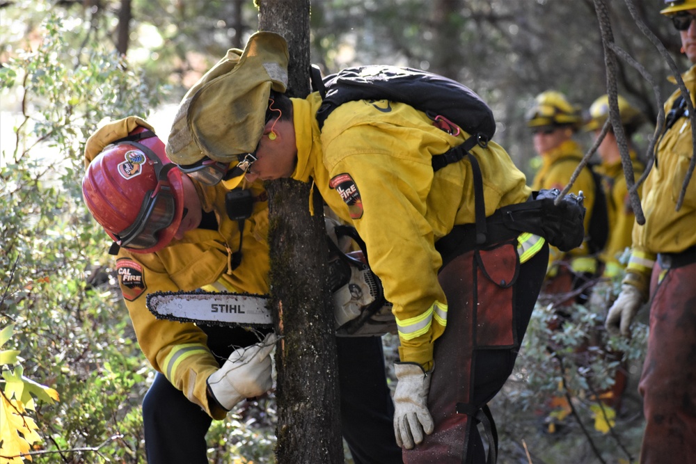 JTF Rattlesnake’s Redding hand crews clear potential fire fuels in Project Area Hwy 44