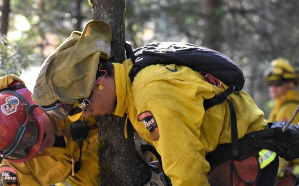 JTF Rattlesnake’s Redding hand crews clear potential fire fuels in Project Area Hwy 44