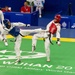 USA vs. Iran in Military World Games Taekwondo competition