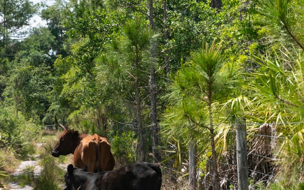 RANGES: Land Stewardship