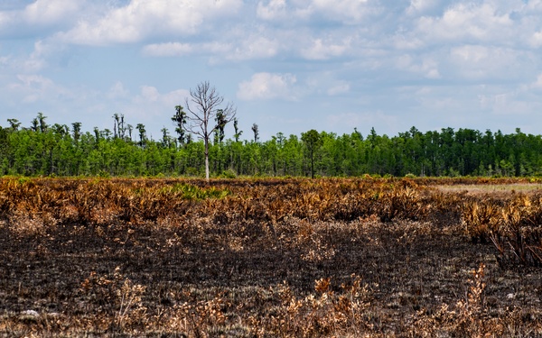 RANGES: Land Stewardship
