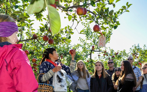 Navy Misawa visits Kuroishi Apple Orchard