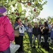 Navy Misawa visits Kuroishi Apple Orchard
