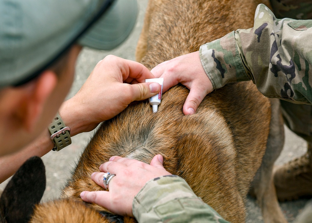 MWDs stay on top of their schedule