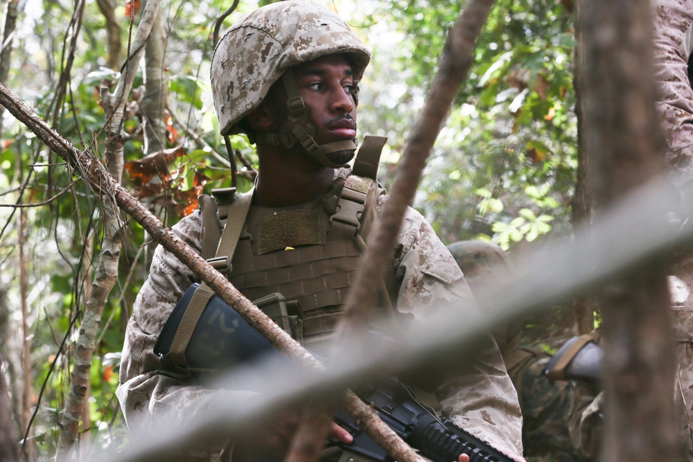 Headquarters &amp; Service Company Battle Skills Test Field Exercise