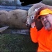 40 hunters take to field for 18th Fort McCoy deer hunt for people with disabilities