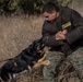 Working dog handlers conduct bite training scenarios