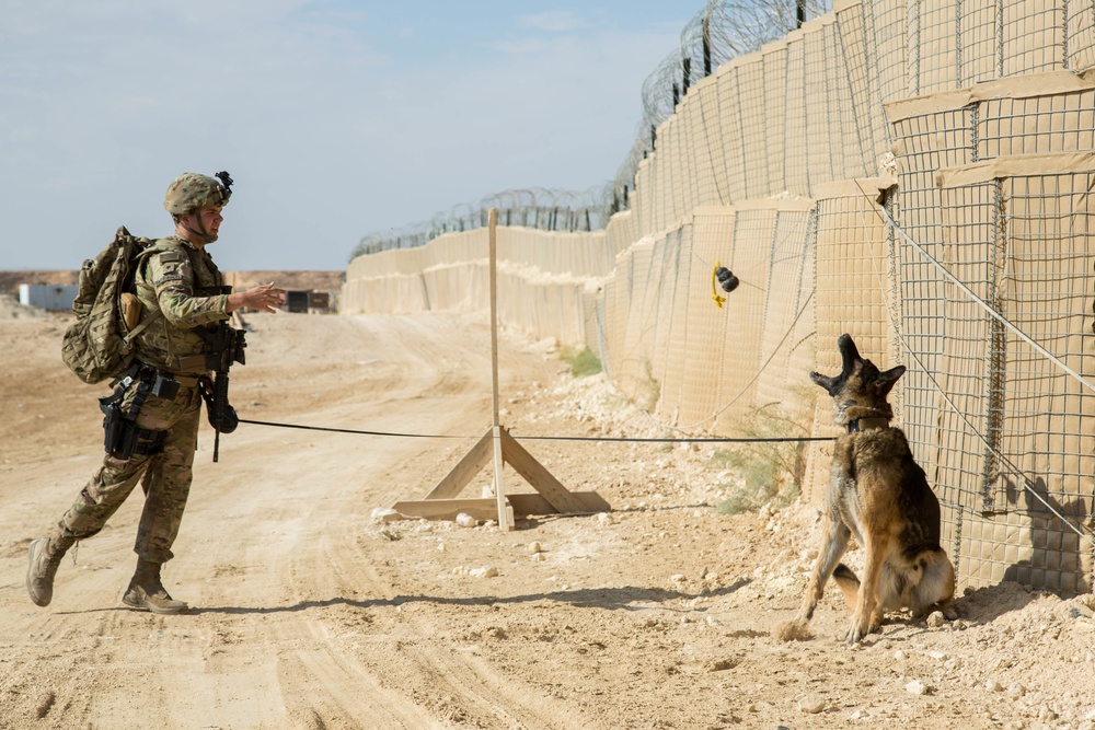 Al Asad Air Base Dog Handler's route clearance drill