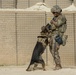 Al Asad Air Base Dog Handler's route clearance drill