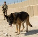 Al Asad Air Base Dog Handler's route clearance drill