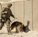 Al Asad Air Base Dog Handler's route clearance drill