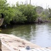 PRNG and its landing crafts brings support to the islands of Vieques and Culebra