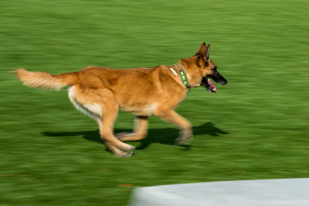 Joint Civilian Orientation Conference visits Langley Air Force Base