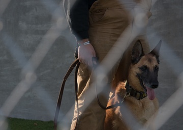 Joint Civilian Orientation Conference visits Langley Air Force Base