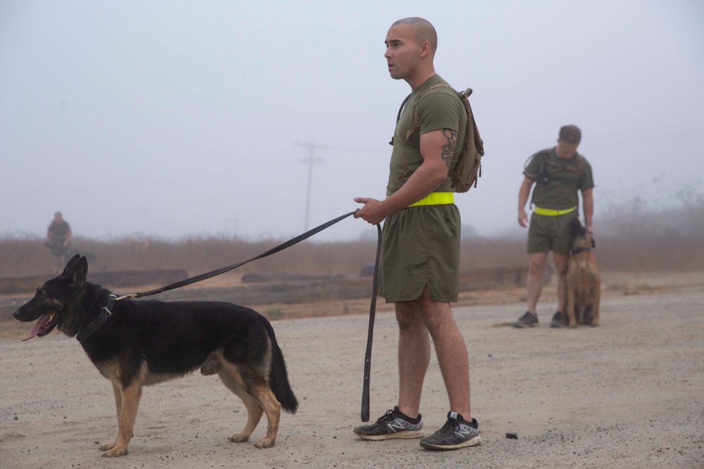 I MIG conducts formation run for 244th USMC birthday