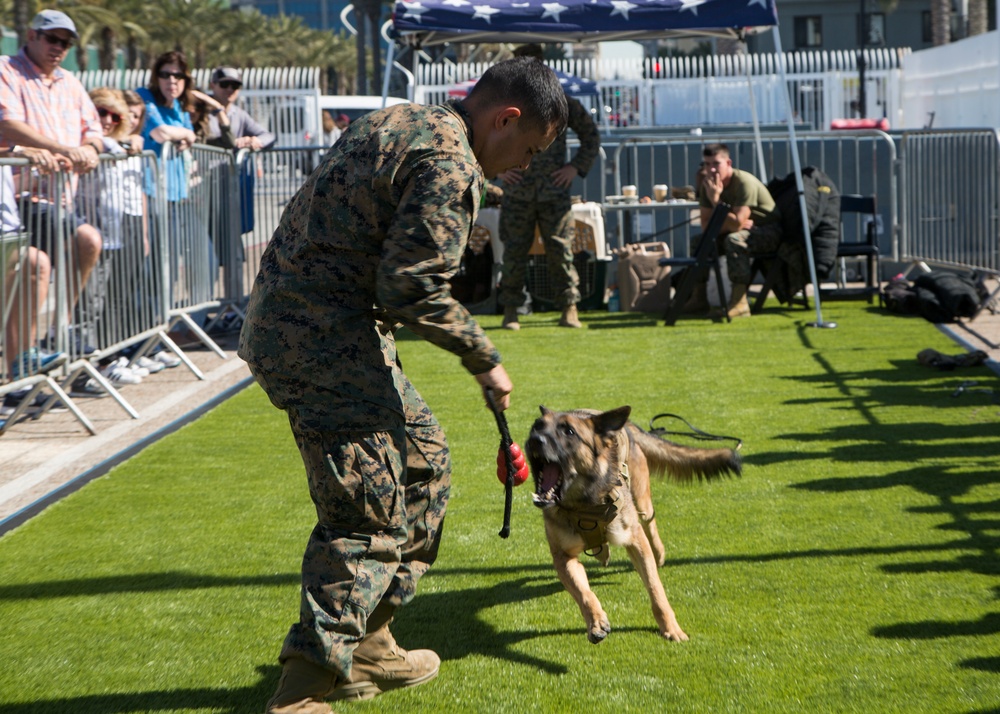 Fleet Week San Diego 2019