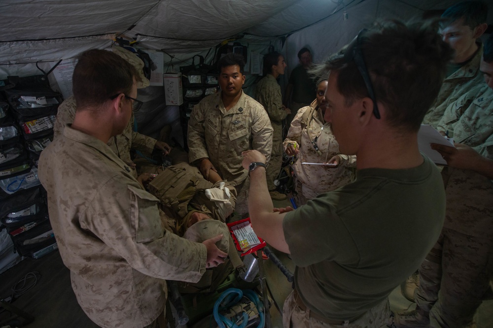 2nd Medical Battalion and Combat Logistics Battalion 2 at MWX 1-20