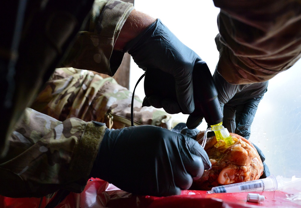10th Special Forces Group mass casualty exercise