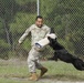Passion for canines makes for successful MWD teams