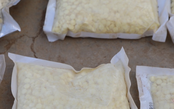 Coalition Partner Force Seize $3.5 Million Worth of Drugs