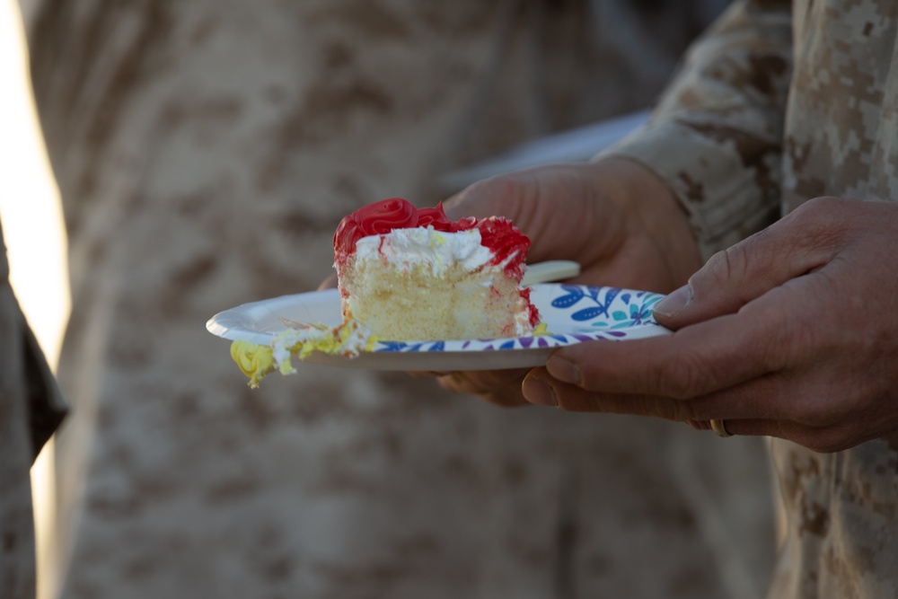 3rd Marine Regiment Celebrates Marine Corps Birthday