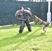 Military Working Dog Training at NSA Naples