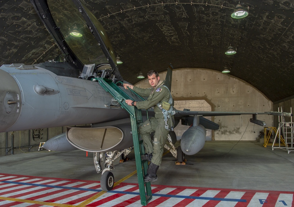 Pilots of Blue Flag 2019: Multinational knights of the air