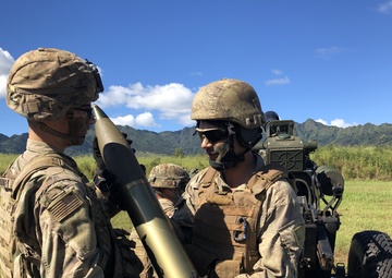 U.S. and New Zealand field artillery train together in Hawaii
