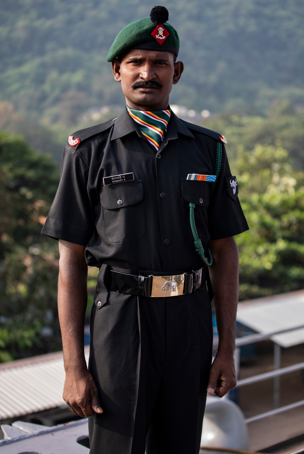 Faces of Tiger TRIUMPH