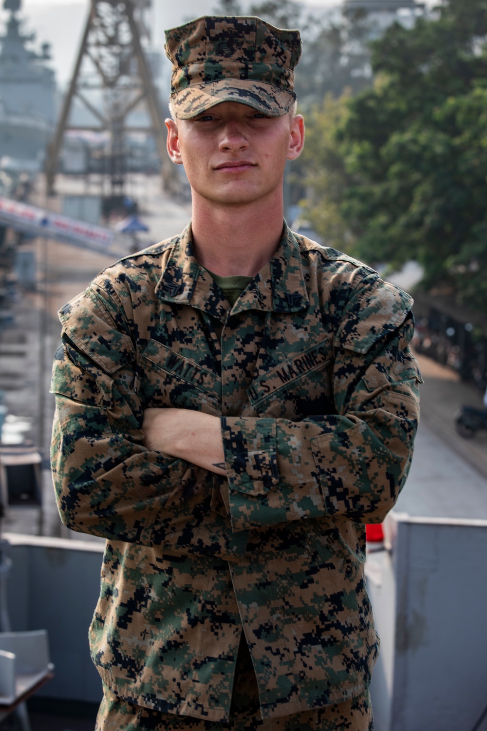 Faces of Tiger TRIUMPH