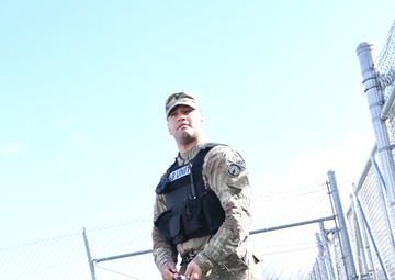 Military Working Dog Teams at Fort Drum certify for mission readiness