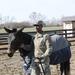 1st TSC Spouses Visit Sgt. Blackjack on 45-acre Farm